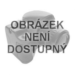 Greenworks G24BL foukač s aku motorem 24 V