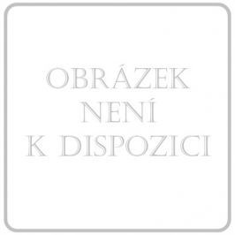 DONGYANG DONGBAI Obin. pruž. CZIDEÁL 6cmx5m/+2ks upín.sponek
