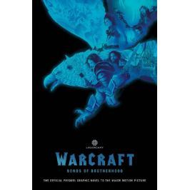 World of Warcraft - Pouta bratrství - Metzen, Chris; Cornell, Paul
