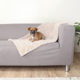 Deka COSY béžová - 70x50cm