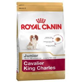 ROYAL CANIN KAVALÍR JUNIOR - 1,5kg