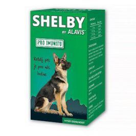 VÝPRODEJ - ALAVIS SHELBY pro IMUNITU 30cps. - EXPIRACE 11/2017 - POUZE 3KS