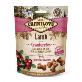 CARNILOVE dog LAMB/cranberries - 200g