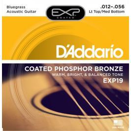 D'Addario EXP19