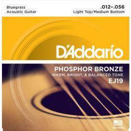 D'Addario EJ19